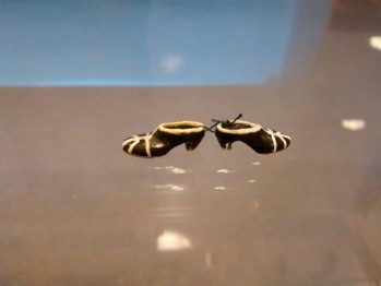 Una pieza del Museo del Calzado con un valor sentimental imposible de valorar 