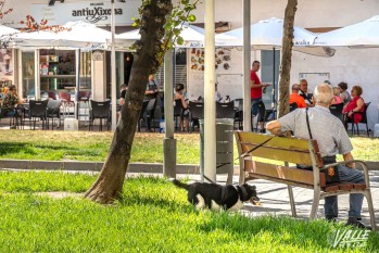 El PP propone la creaci&oacute;n de pipicanes en el centro de Elda