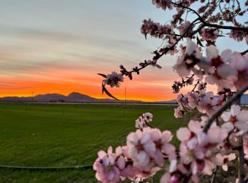 Temperaturas superiores a las normales para esta &eacute;poca del a&ntilde;o