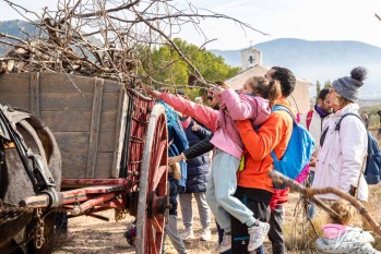 La le&ntilde;a para la hoguera de San Ant&oacute;n ya est&aacute; recogida