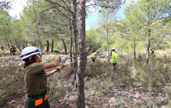 Petrer aprobar&aacute; el Plan Local de Prevenci&oacute;n de incendios