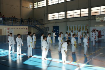 Elda acoge el s&aacute;bado el 30&ordm; Campeonato de Artes Marciales