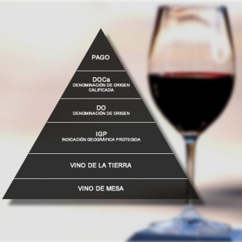 Vinos de calidad de la tierra de Castilla La Mancha