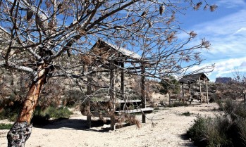 El PSOE critica el abandono del paraje de El Trinitario de Elda