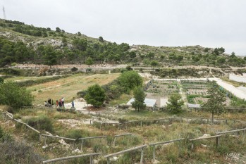 Petrer ampliar&aacute; sus huertos ecol&oacute;gicos de Ferrusa en 15 parcelas
