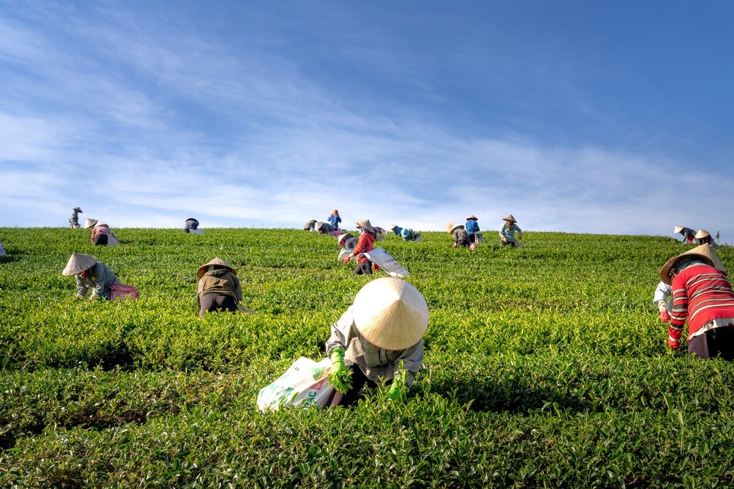Los derechos de la agricultura Los derechos de la agricultura