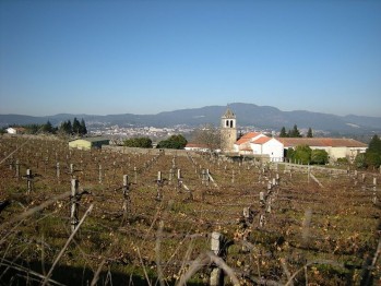 Nuestra peque&ntilde;a historia del vino (1)