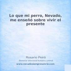 Lo que mi perro, Nevado, me ense&ntilde;&oacute; sobre vivir el presente