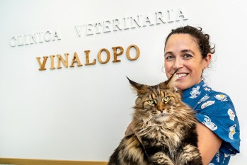 La Cl&iacute;nica Veterinaria Vinalop&oacute; est&aacute; especializada en el cuidado de las mascotas felinas