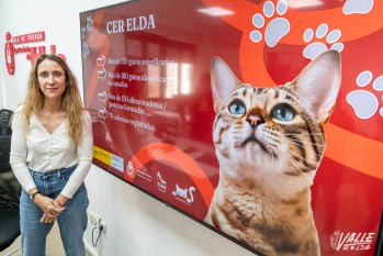 Elda esteriliza 150 gatos en los primeros meses de legislatura