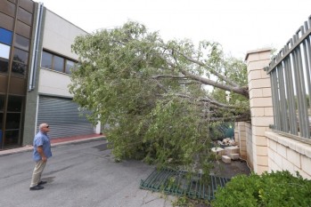 La tormenta arranca m&aacute;s de 20 &aacute;rboles en el pol&iacute;gono Campo Alto y provoca graves destrozos