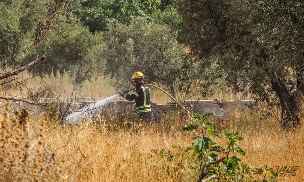 Los Bomberos sofocan un incendio en un descampado de la avenida Reina Sofía de Petrer Los Bomberos sofocan un incendio en un descampado de la avenida Reina Sofía de Petrer