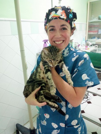 Cl&iacute;nica Veterinaria Nueva Col&oacute;n cuenta con especialistas en medicina felina