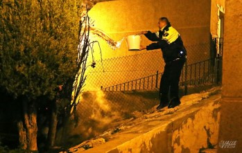 Incendian al menos cinco contenedores y un &aacute;rbol en apenas una hora en Petrer