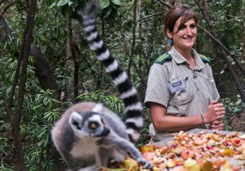 Marina Ib&aacute;&ntilde;ez Romero, eldense veterinaria en Sud&aacute;frica: "Trabajo en un santuario de animales, los deshumanizamos y viven en libertad porque no son mascotas"