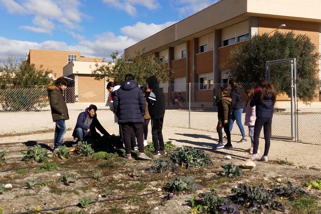 Padre Manjón y La Melva revalidan su Sello de Calidad Vida Saludable Padre Manjón y La Melva revalidan su Sello de Calidad Vida Saludable