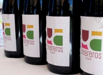 Denominaci&oacute;n de Origen Protegida Cebreros