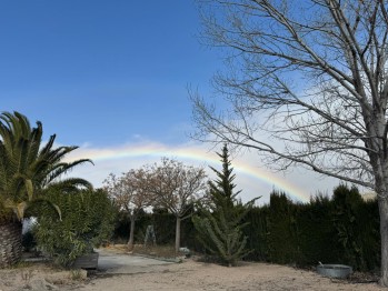 Temperaturas en claro ascenso