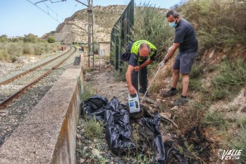 Aparecen tres perros muertos junto a la v&iacute;a del tren en el Pantano