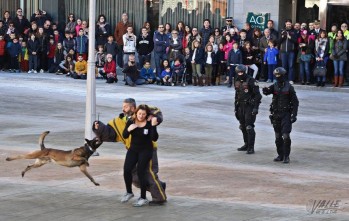 Lecci&oacute;n de seguridad en Elda