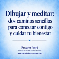 Dibujar y meditar: dos formas sencillas de parar y volver a nosotros