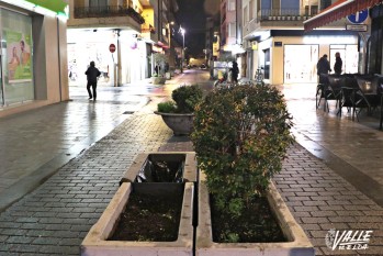 Una mujer sorprendida mientras arrancaba plantas de maceteros del centro de Elda