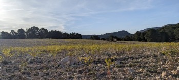 Temperaturas en ascenso