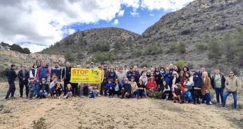 Contin&uacute;a la lucha contra las plantas solares en Elda