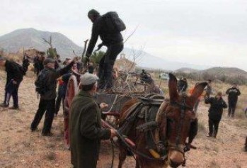 7&ordf; Ruta de recogida de le&ntilde;a para la Hoguera de San Ant&oacute;n  