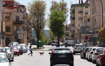 La avenida Felipe V de Petrer se renovar&aacute; para hacerla m&aacute;s c&oacute;moda a los viandantes