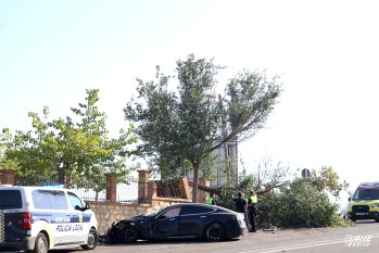 Un conductor se estrella contra un &aacute;rbol y la Casa Color&aacute;