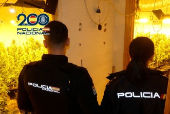 Dos detenidos con 658 plantas de marihuana en una plantaci&oacute;n de interior