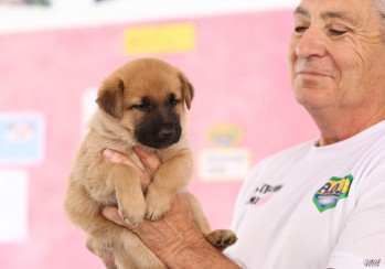 Encuentran cinco cachorros sepultados bajo los escombros en un contenedor de basura