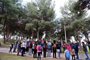 "Paseos saludables" en Petrer