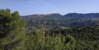 Temperaturas muy por encima de lo normal para esta &eacute;poca del a&ntilde;o