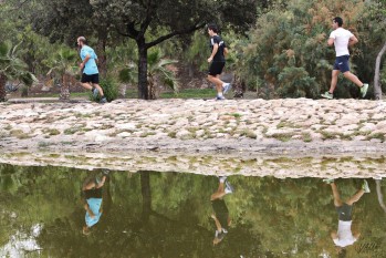 Salir a hacer deporte individual y pasear en familia ser&aacute; posible a partir del 2 de mayo si la evoluci&oacute;n es positiva