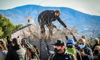Elda recupera la tradicional recogida de le&ntilde;a por San Ant&oacute;n