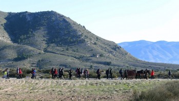La Mayordom&iacute;a pide "palicos" a los eldenses para la hoguera de San Ant&oacute;n del domingo