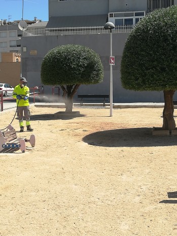 El Jard&iacute;n Mar&iacute;a Moliner en Petrer cerrado por avispas terrestres
