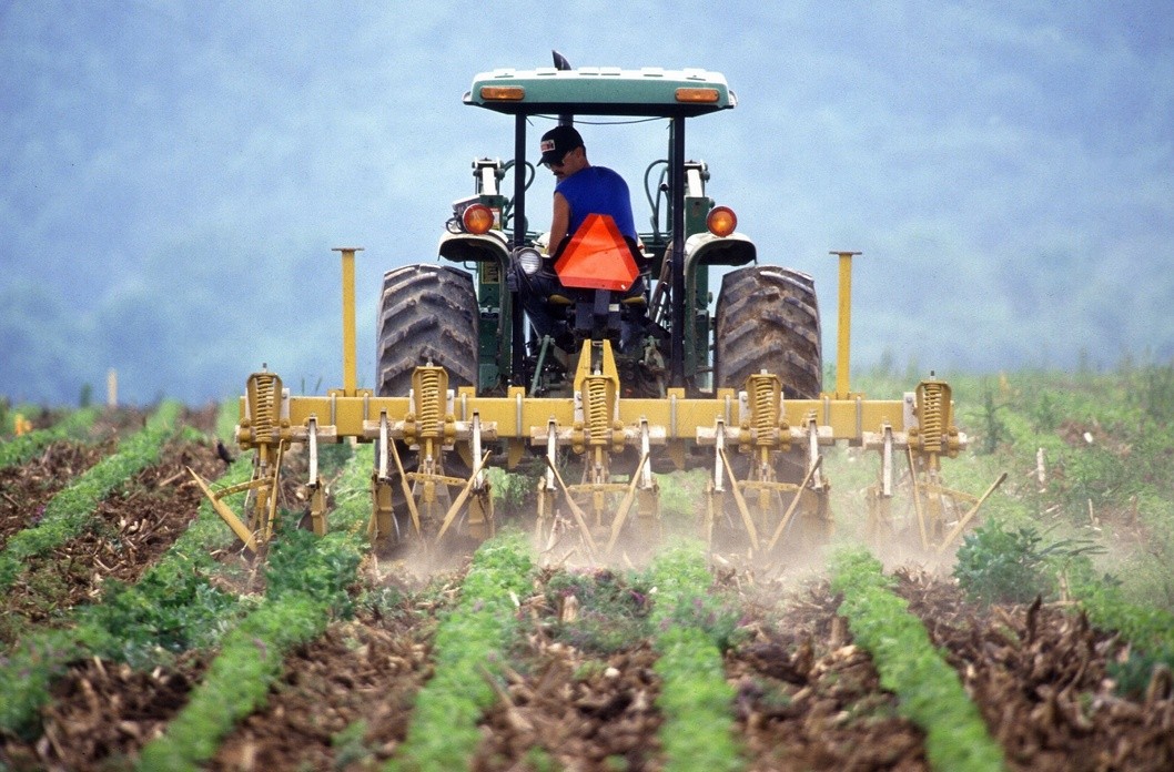 Los derechos de la agricultura (II): Puntualizaciones Los derechos de la agricultura (II): Puntualizaciones